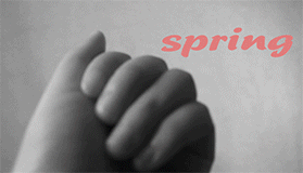 Pig灵的个人主页（封面预览） - 主页封面设置 - 站酷设计师Pig灵原创素材 - 站酷ZCOOL