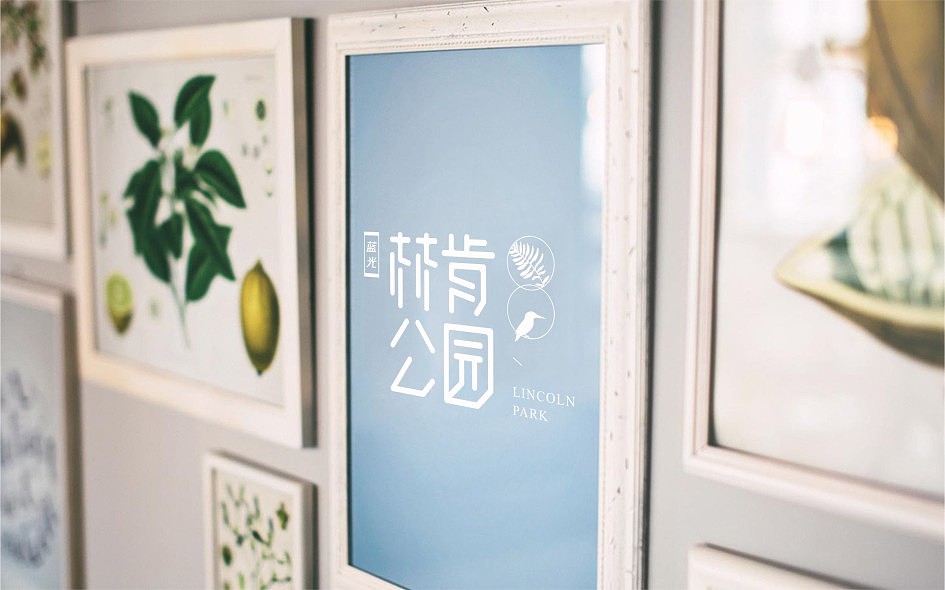 蓝光林肯公园比稿