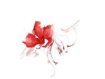 第一次使用数位板（个人主页-ZMzA0ODI1OTY=） - 创作习作 - 站酷设计师戚洛原创素材 - 站酷ZCOOL