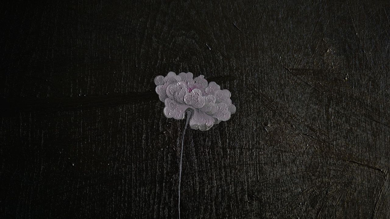 ma-skyes-a-ma•莲花