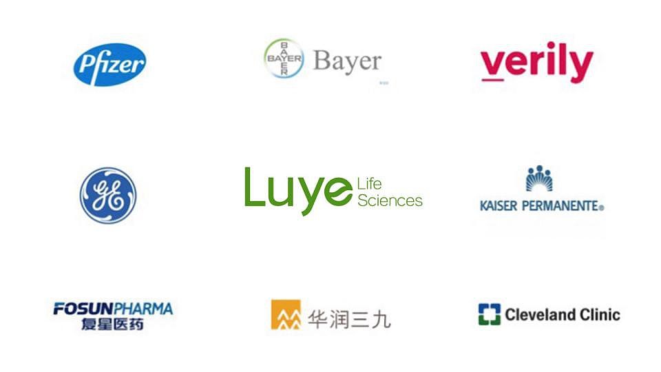 绿叶生命标志修改提案（图ZMjM2MDkwMTI4） - Logo - 站酷设计师许天博原创素材 - 站酷ZCOOL