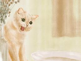 第一次看見魚兒的喵~