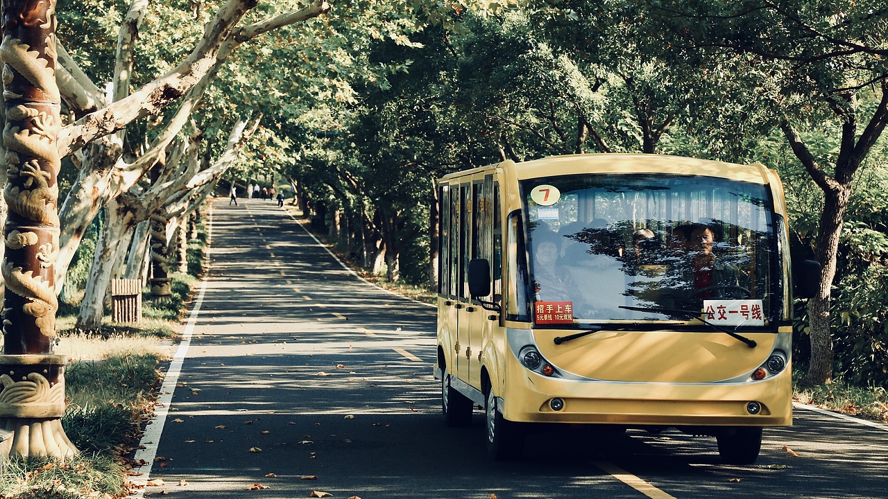 秋天也是生机勃勃的季节