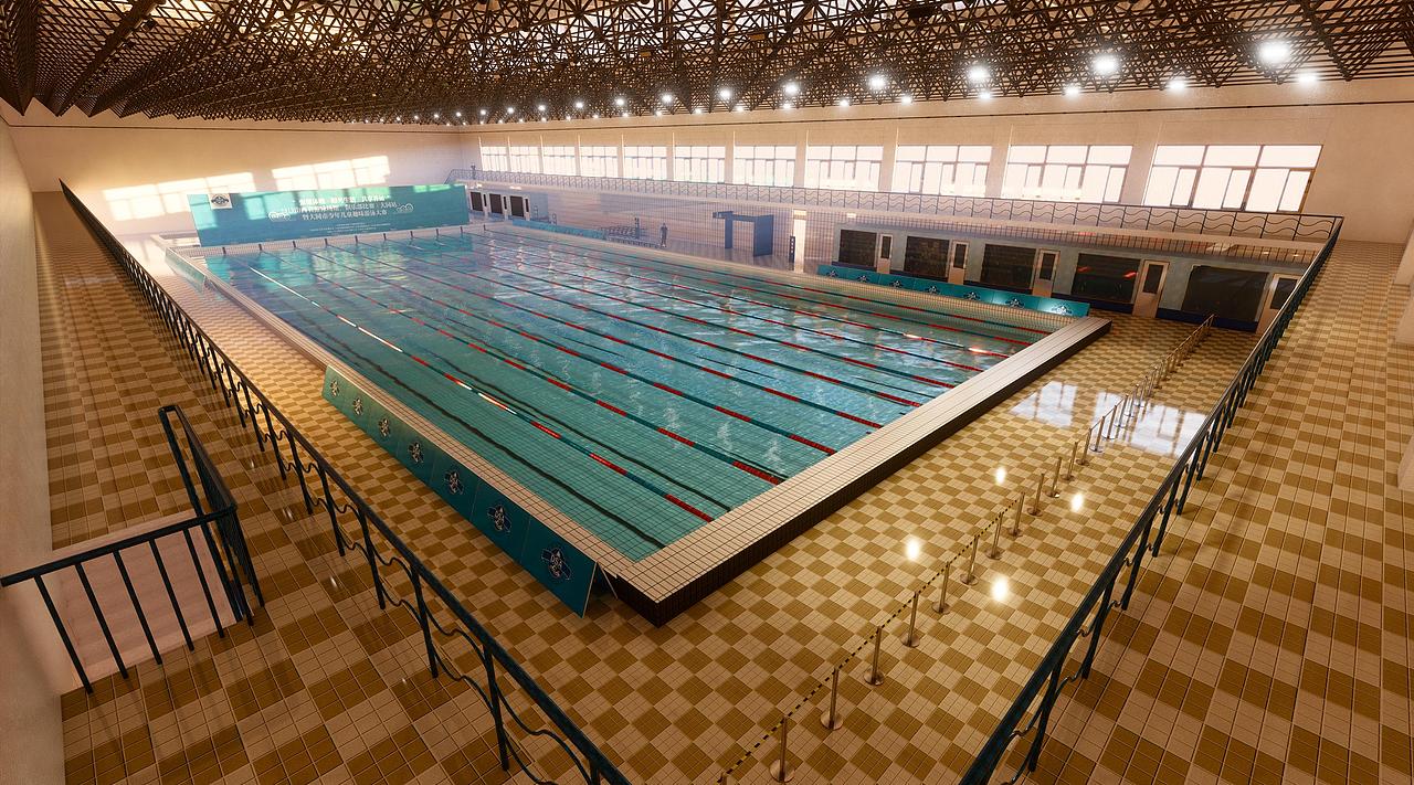 关于游泳的活动