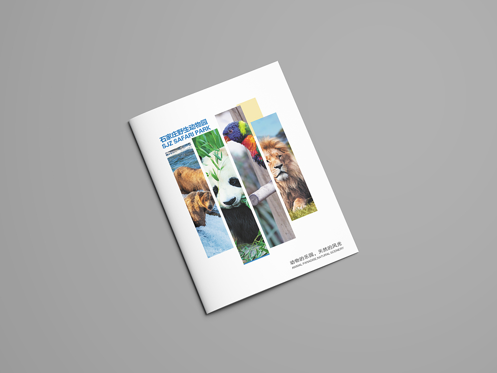 动物园画册（图ZNjk1OTQ5NzY=） - 书籍/画册 - 站酷设计师猫小曼原创素材 - 站酷ZCOOL