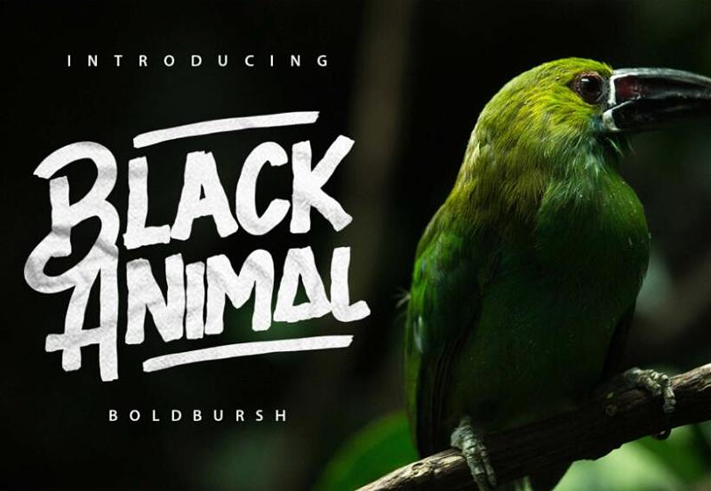 hypeagan07downtownchequemanoyriillumabohem presstuna medium