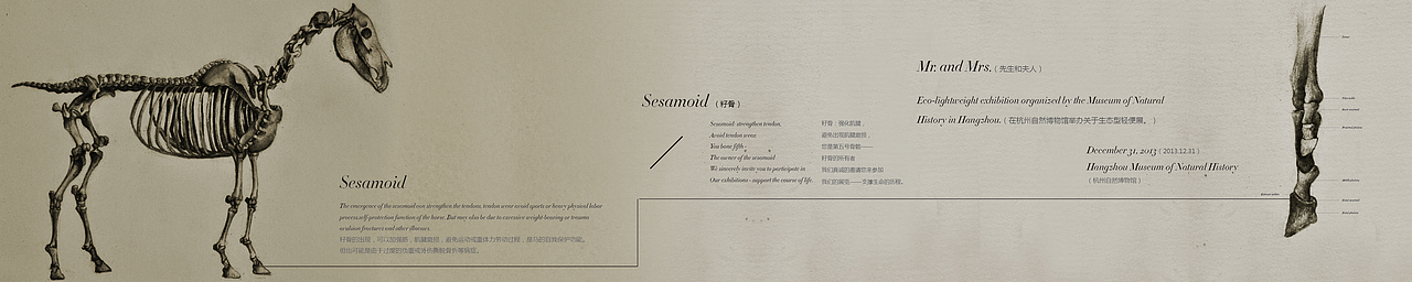 动物骨骼展的请柬设计