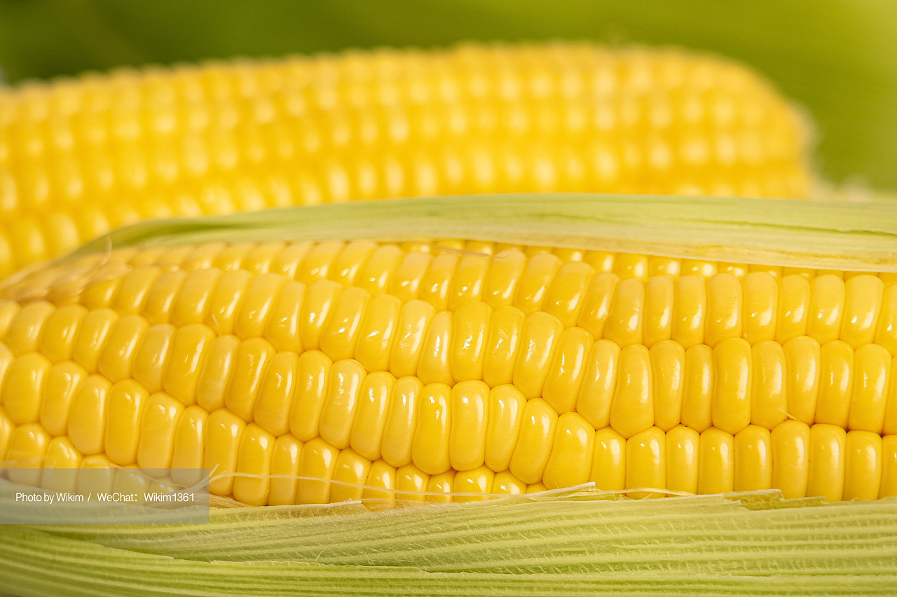 玉米| 食材拍摄 | 美食摄影|摄影|产品摄影|摄影师wikim - 原创作品 -