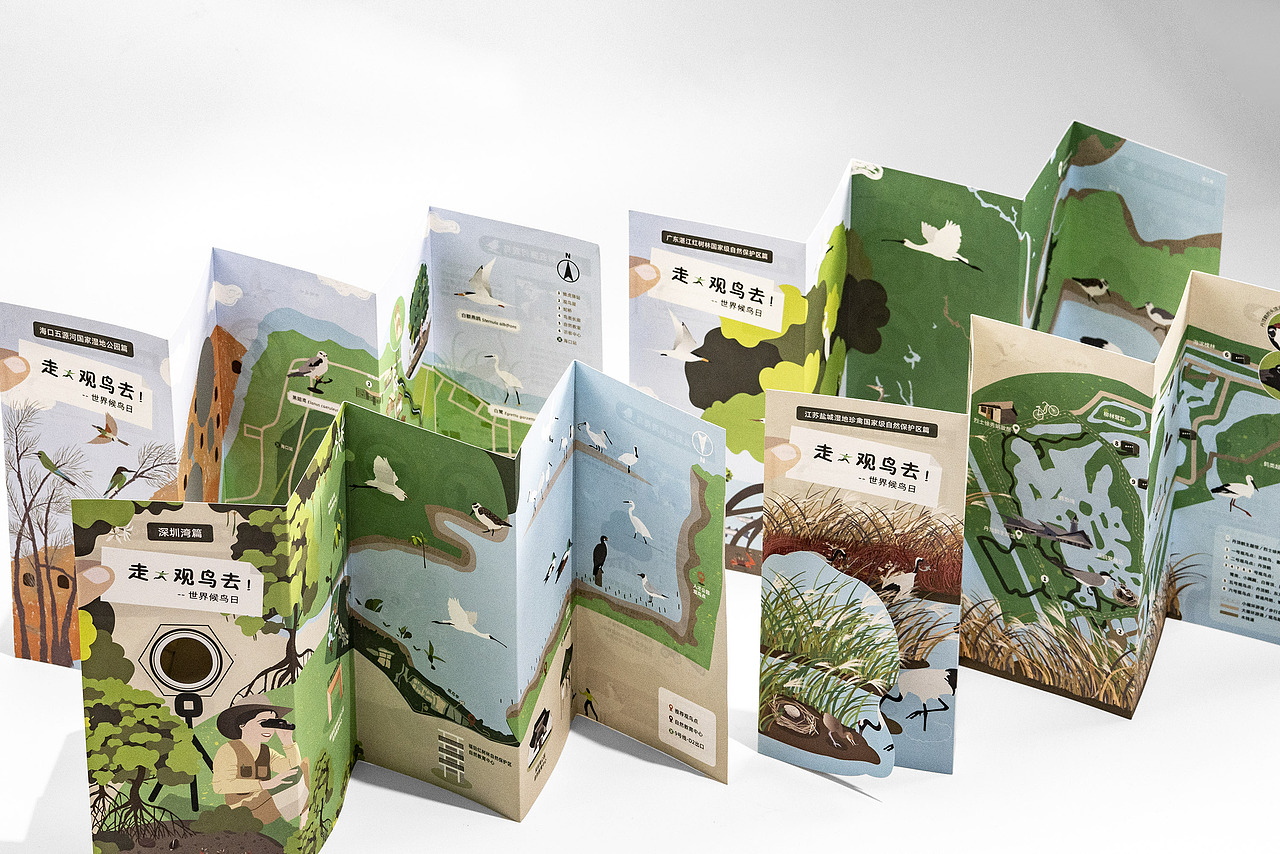 世界候鸟日-观候鸟折页及海报