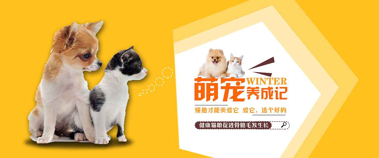 宠物banner（图ZMjEyMzQxMDU2） - APP界面 - 站酷设计师林智豪原创素材 - 站酷ZCOOL