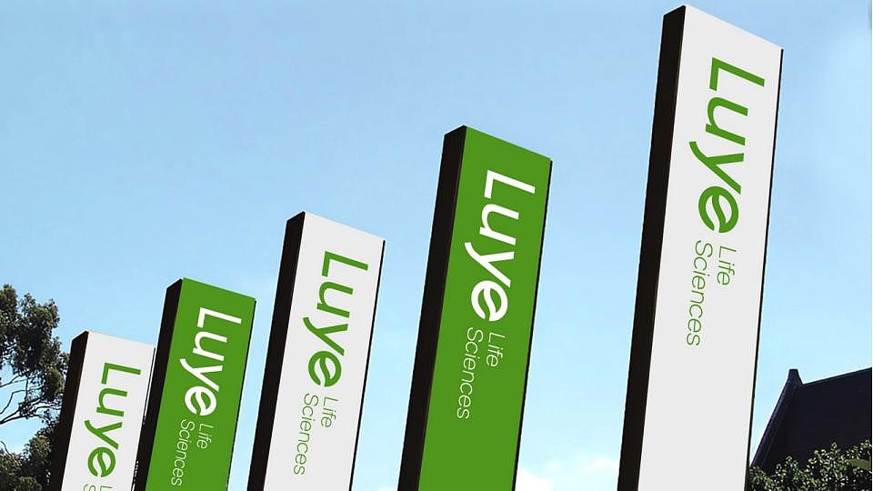 绿叶生命标志修改提案（图ZMjM2MDkwMTUy） - Logo - 站酷设计师许天博原创素材 - 站酷ZCOOL