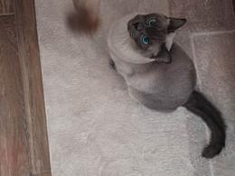 2.3w 二手房改造分享