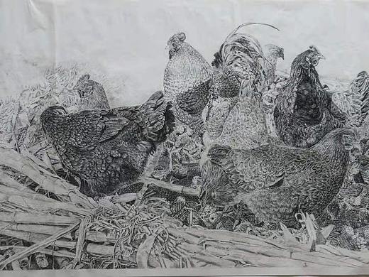 群鸡