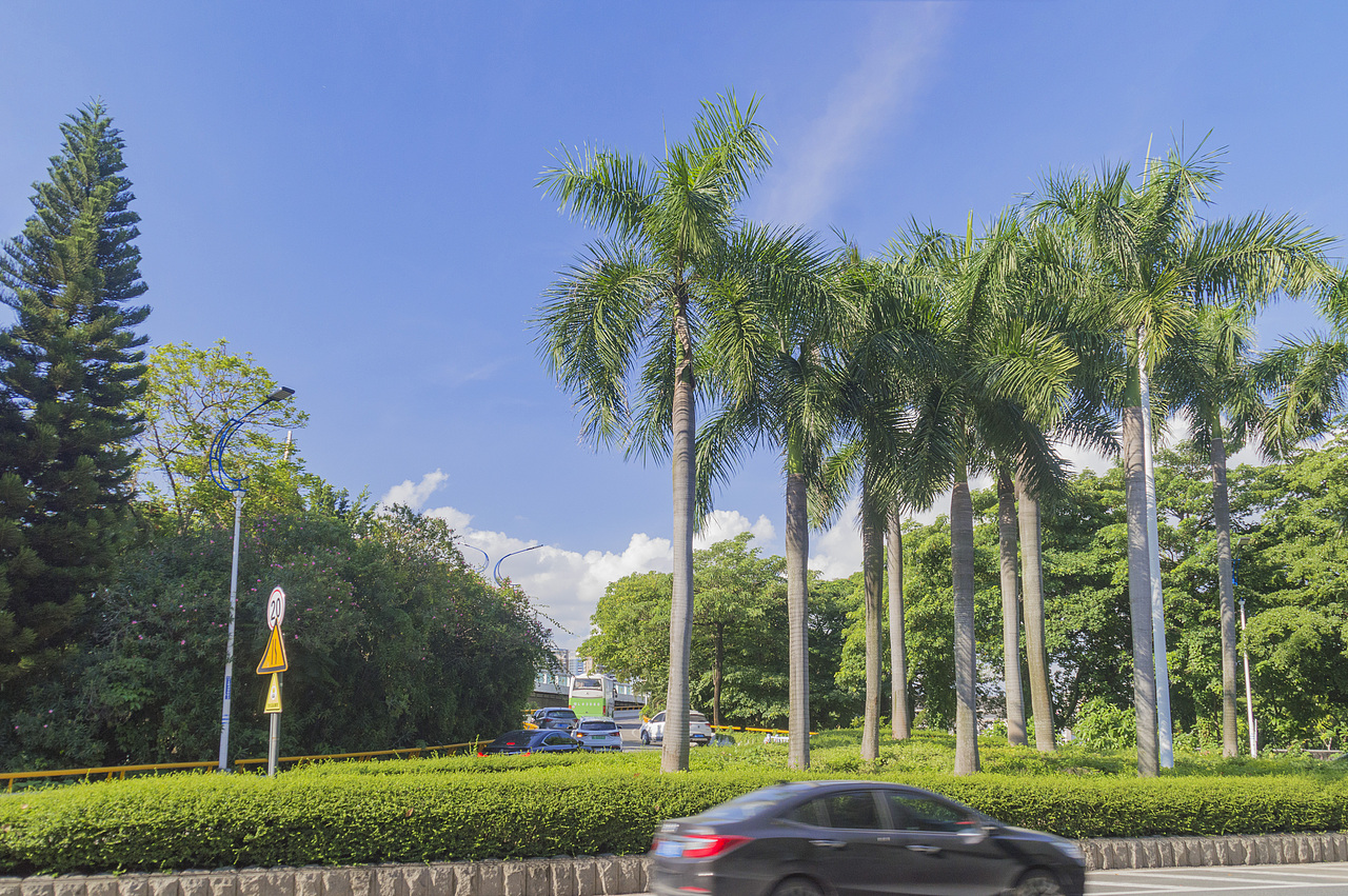 随拍日记（一）（图ZMjI4NzU4NTcy） - 风光摄影 - 站酷设计师萧萧易水丶原创素材 - 站酷ZCOOL