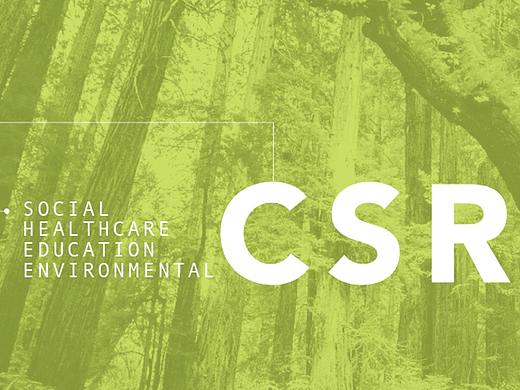 企业社会责任project