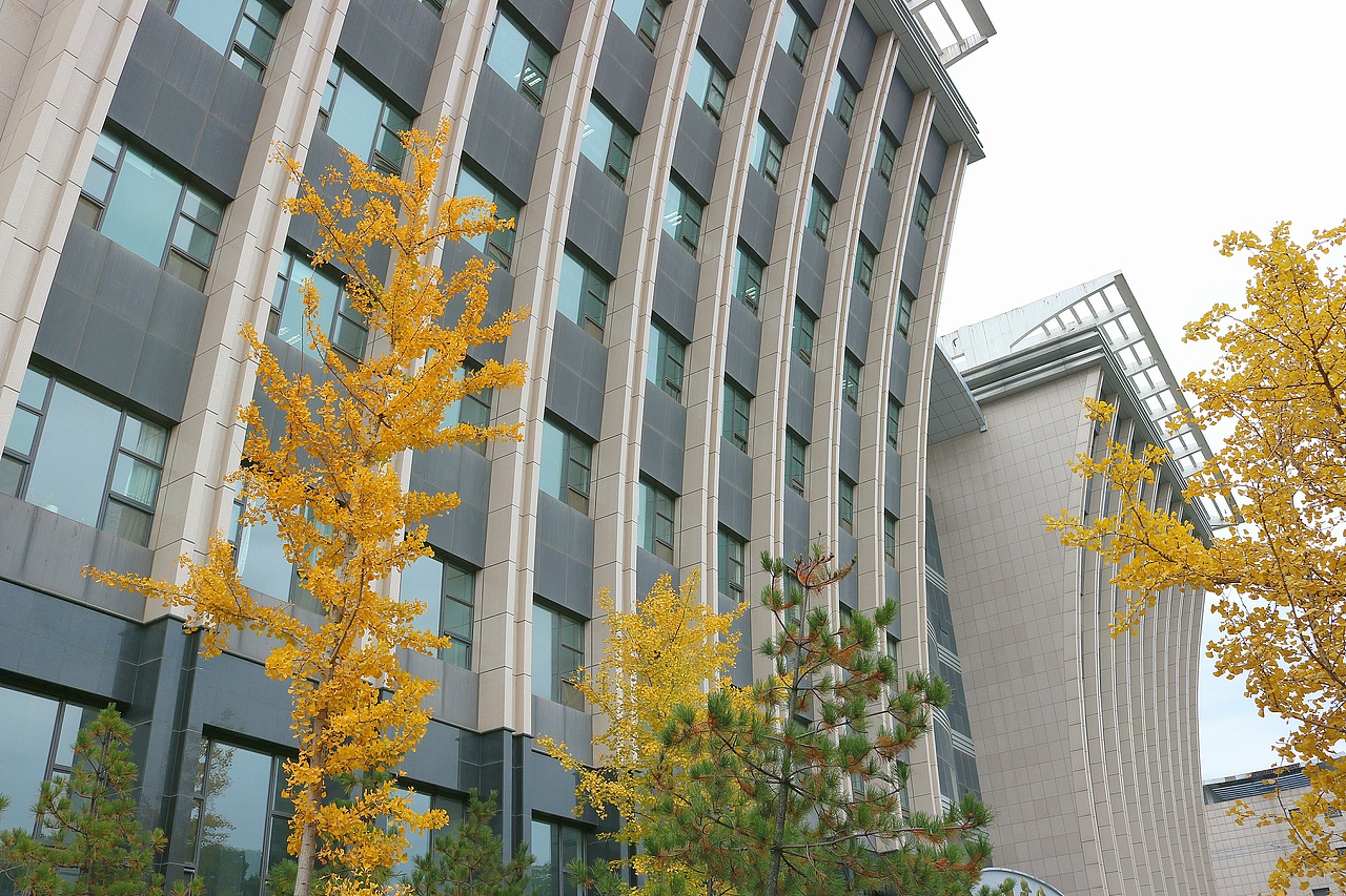 中北大学秋天校园摄影