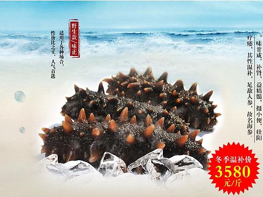 海参销售网站设计