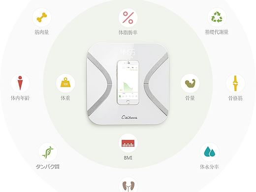 体脂秤