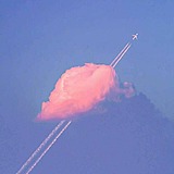 Komorebi_Nanami的头像