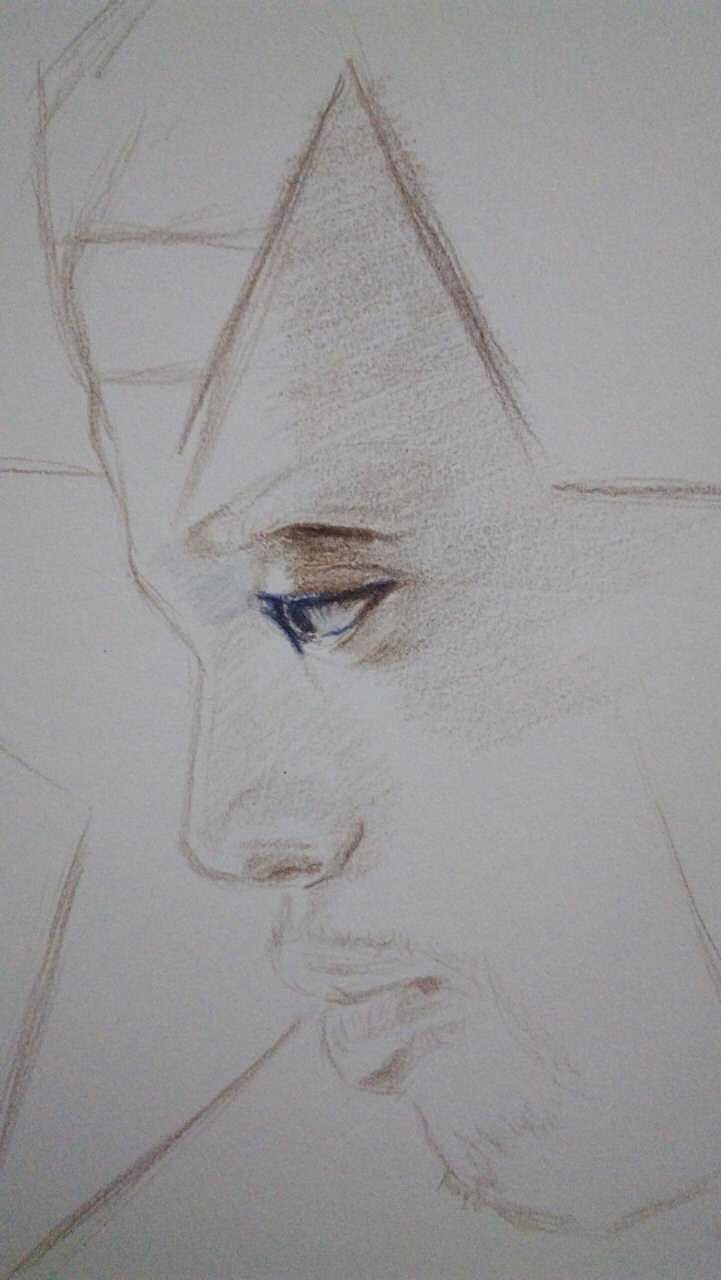 每周一画之黑豹