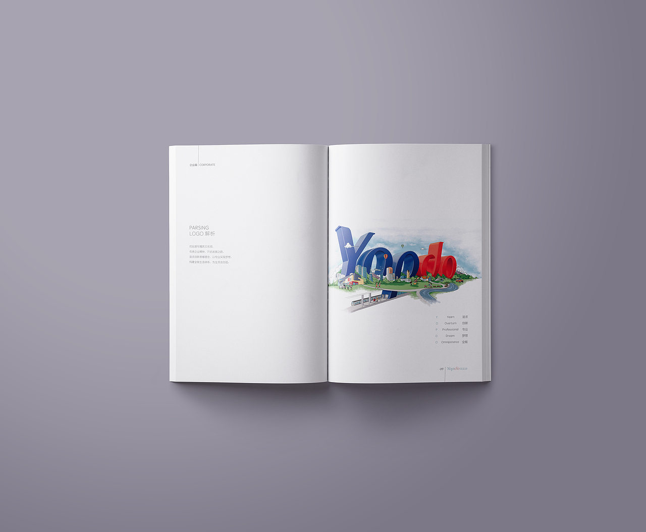 优品道集团画册