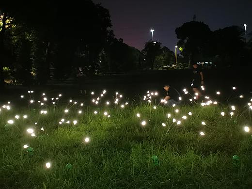 找动态萤火虫上铭星灯光工厂专业生产摇曳萤火虫草坪灯