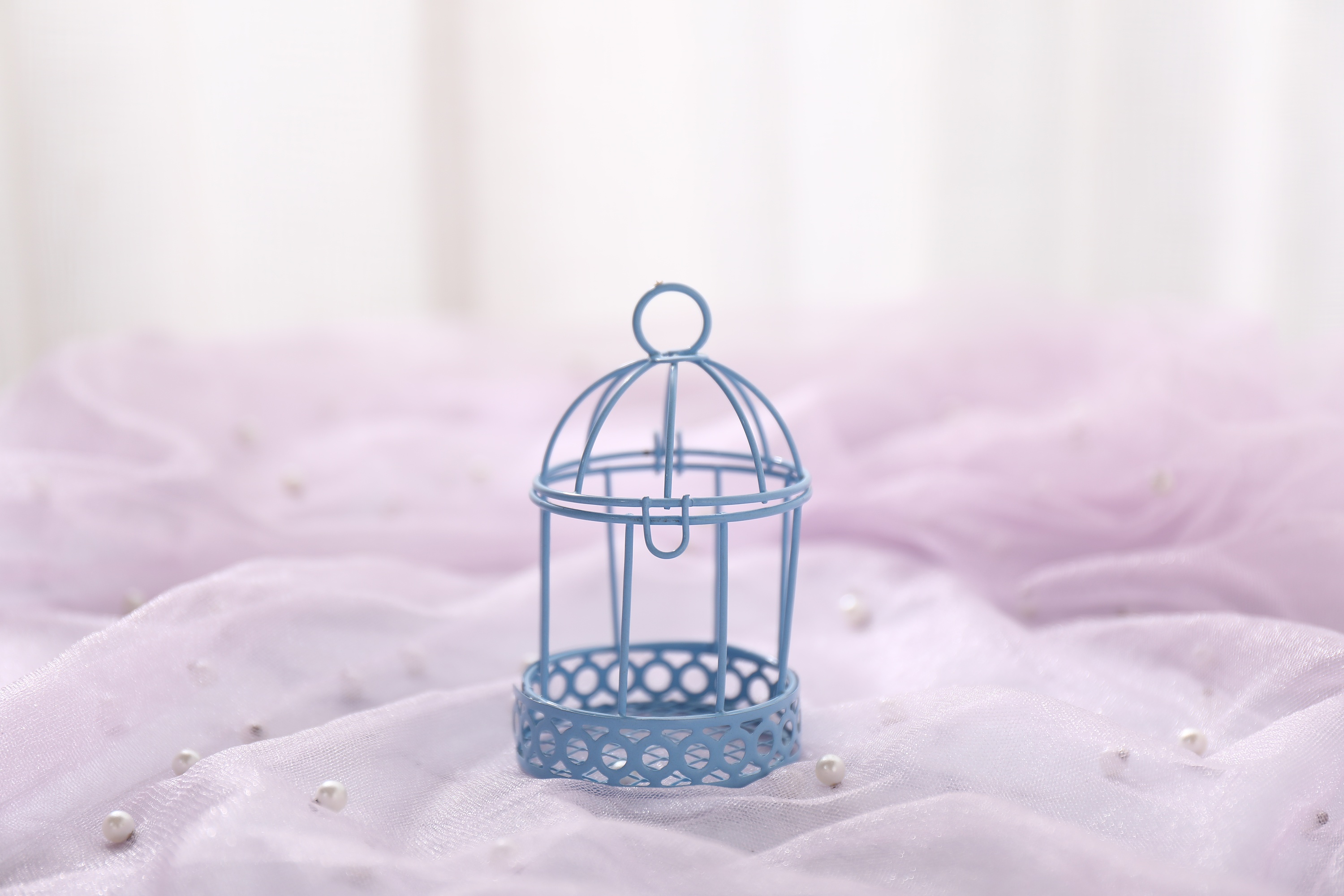 仿真鸟笼迷你拍照道具 少女心拍照道具 ins风鸟笼道具