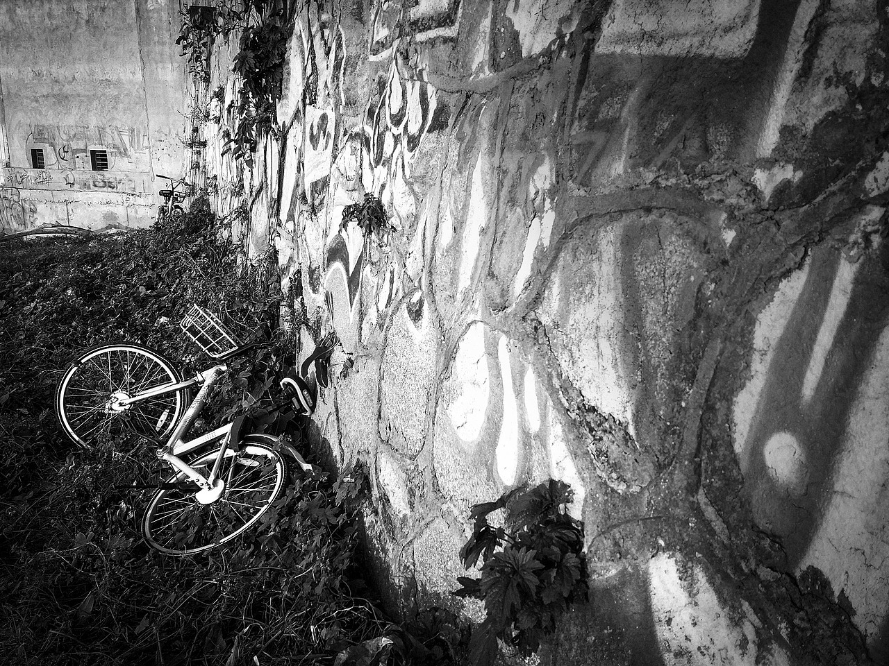 沿湘江而上三公里 #手机摄影#(3)