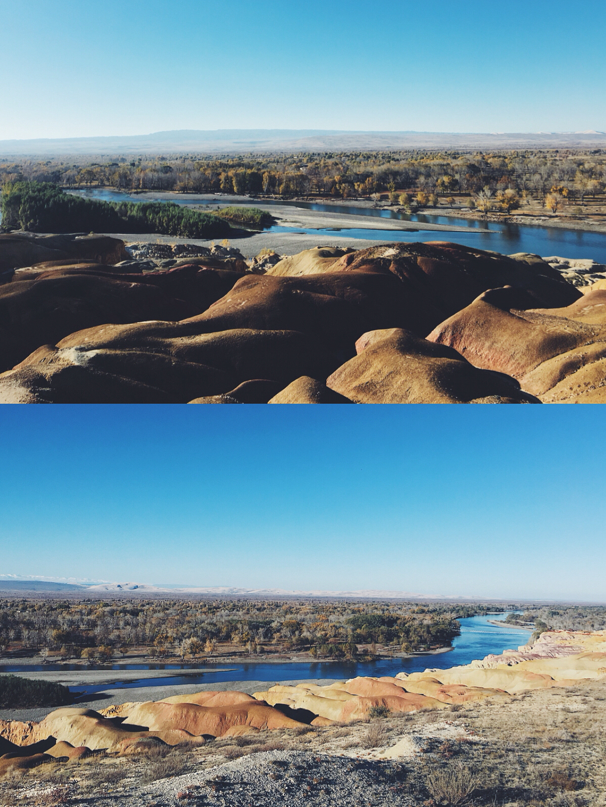 《亲爱的新疆》