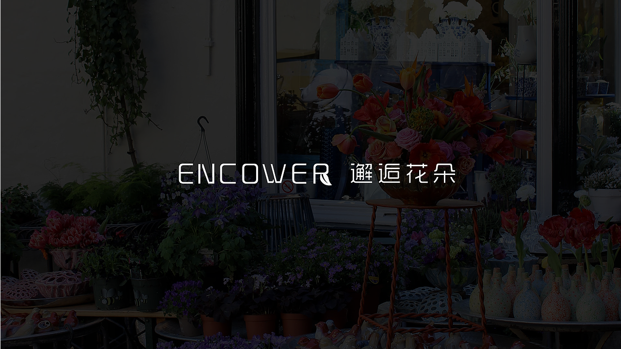 邂逅花朵品牌 视觉系统