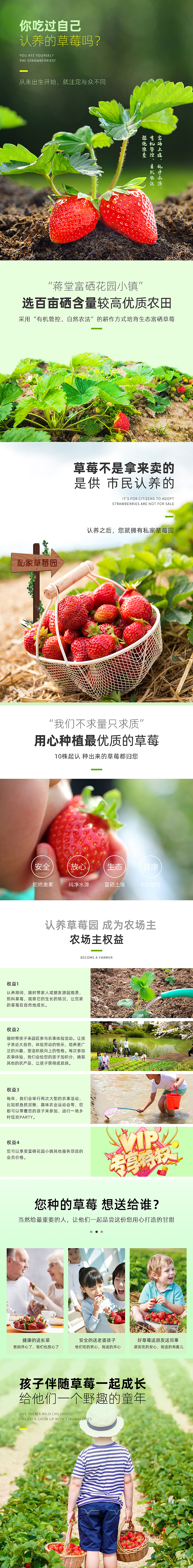 草莓认养详情（图ZMjA4MzQ5NjA4） - 电商 - 站酷设计师瓶子的水原创素材 - 站酷ZCOOL