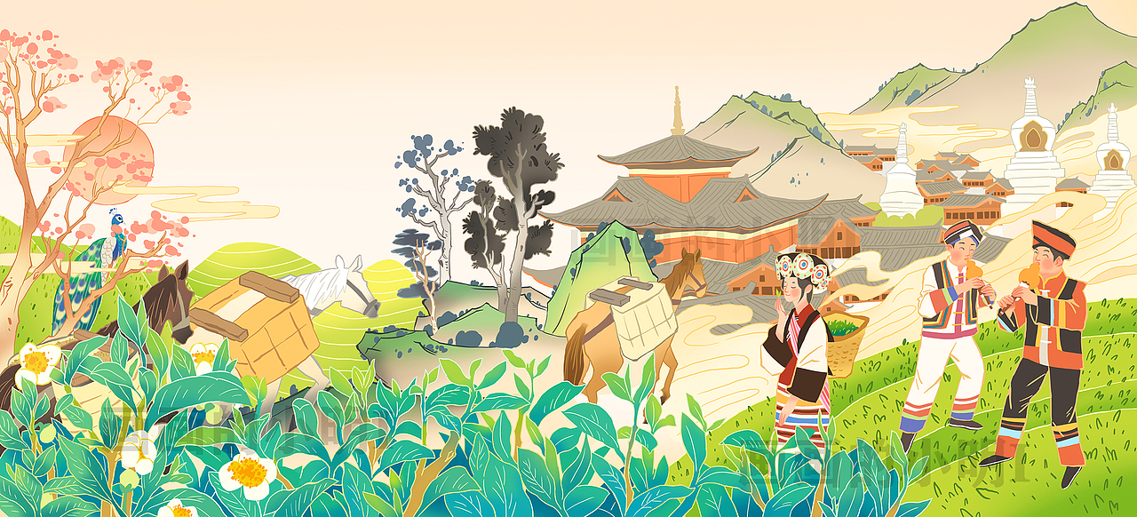 云南老马帮马上有茶包装插画