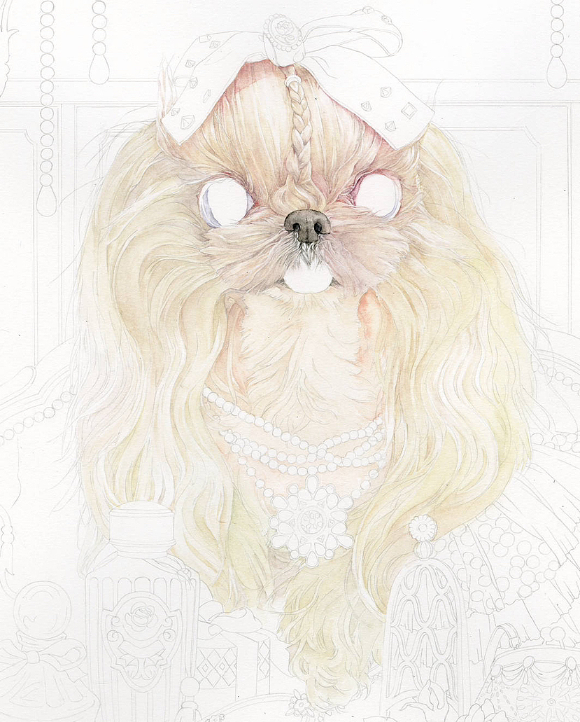 狗中贵族马尔济斯（图ZMzI1ODExOTk2） - 创作习作 - 站酷设计师爱做梦的猫原创素材 - 站酷ZCOOL