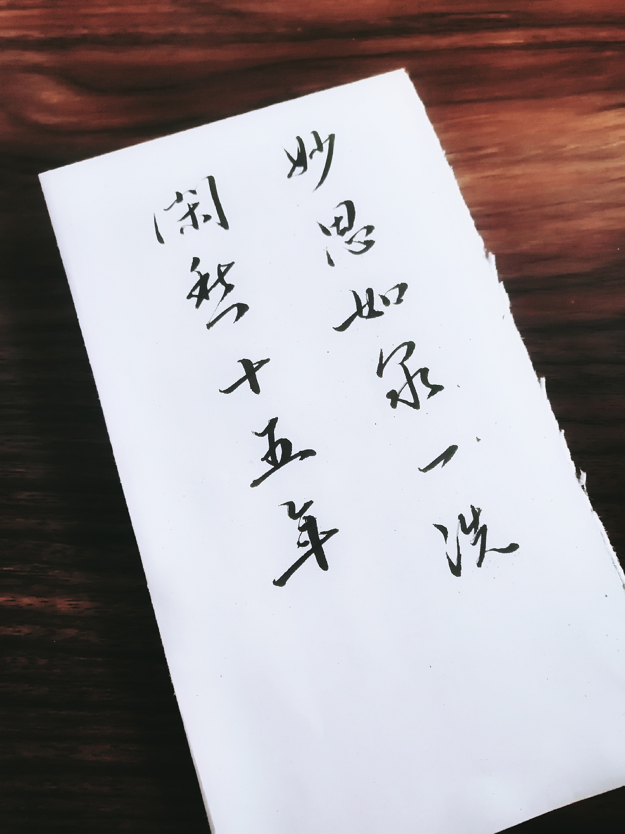 秀丽笔手写行书 二月