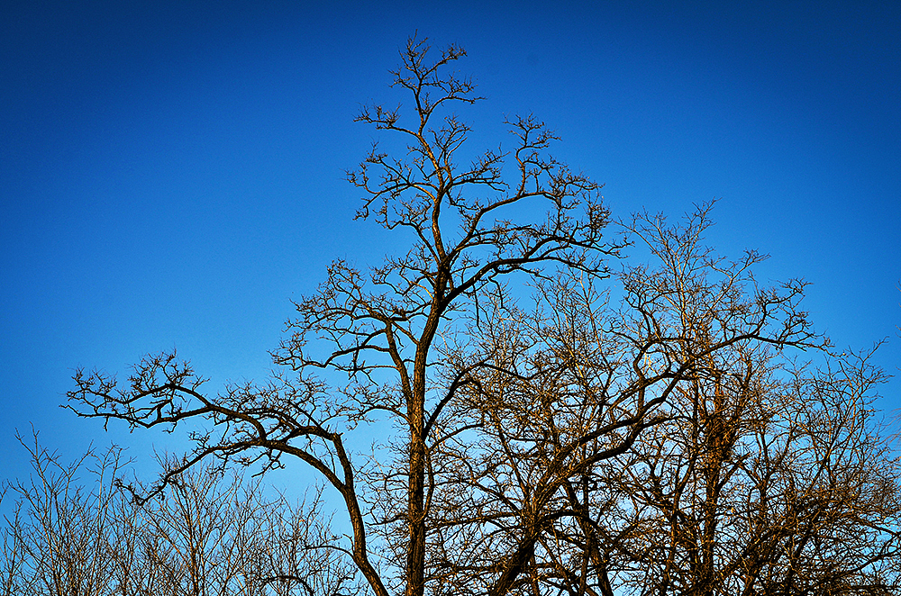 北大未名集团留影II