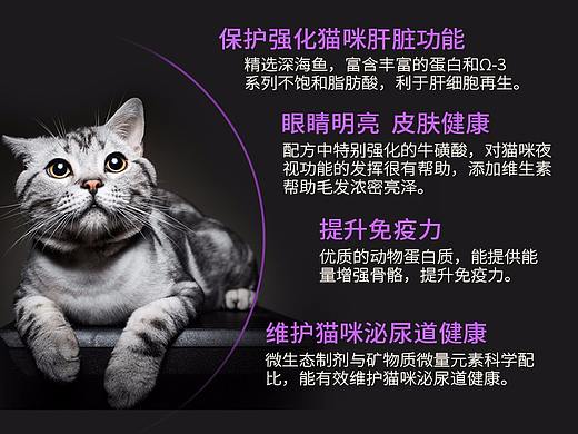 猫粮  宠物用品 详情页