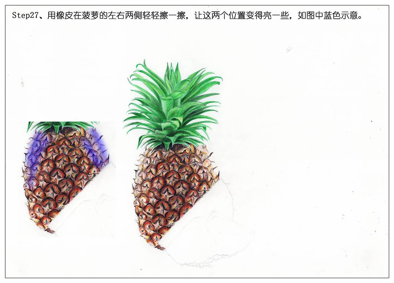 【驴大萌彩铅】手绘24节气水果图鉴 谷雨菠萝