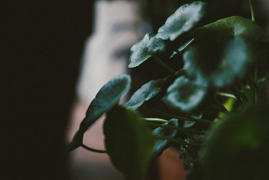 熟悉的地方有风景