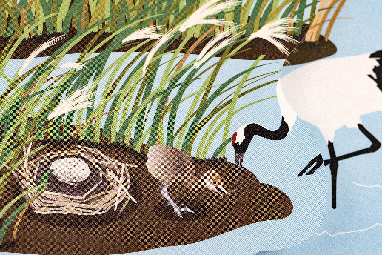 世界候鸟日-观候鸟折页及海报