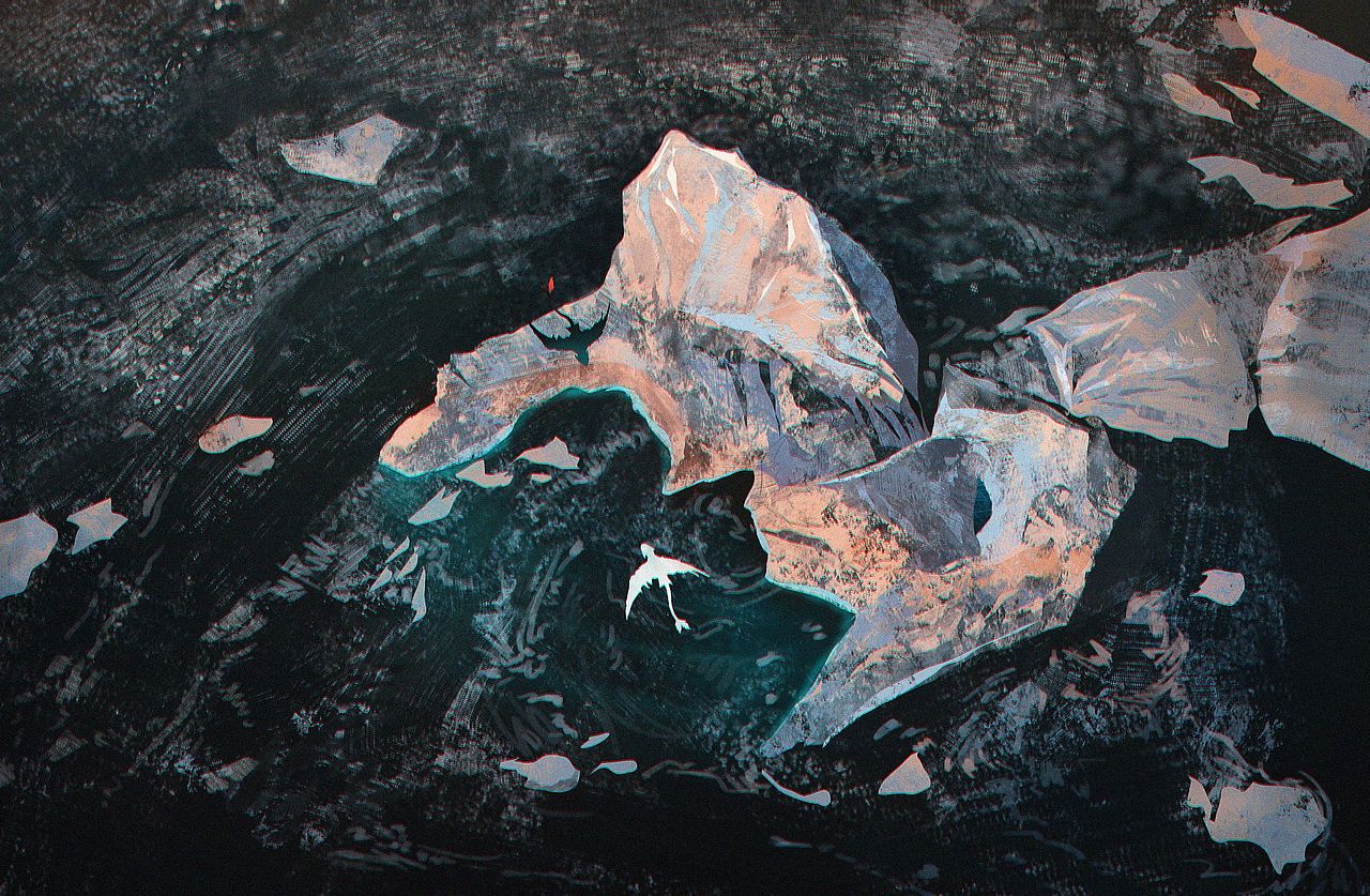 无牙仔的飞行日记