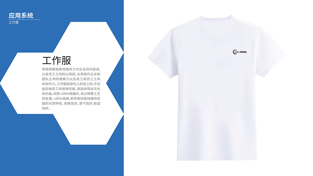 公司视觉识别系统