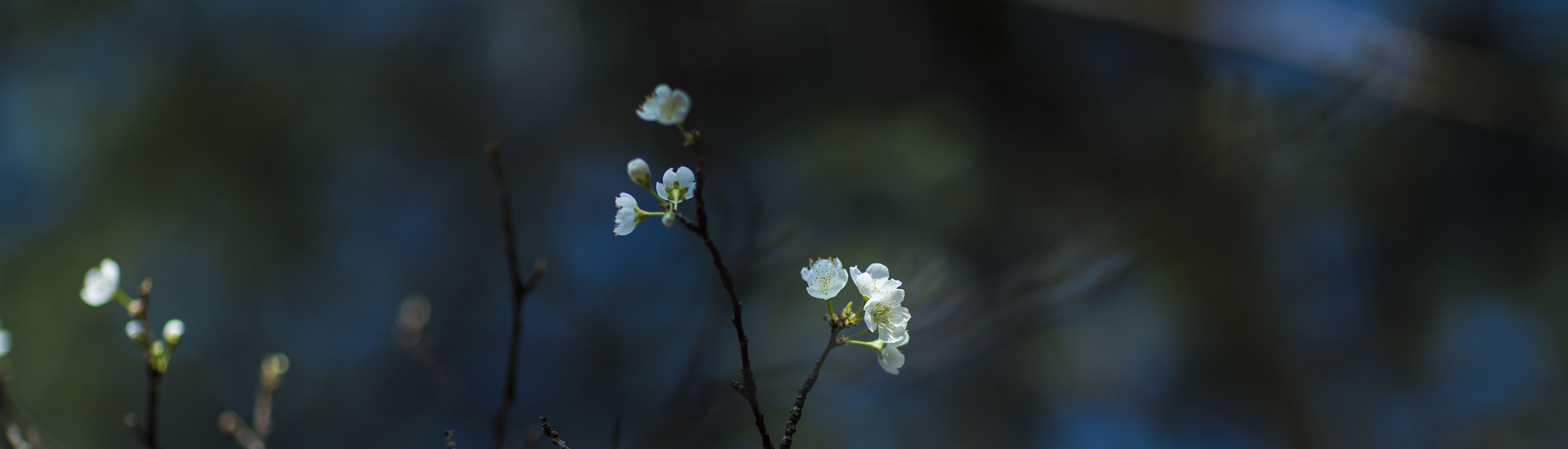 栗二三的个人主页（封面预览） - 主页封面设置 - 站酷设计师栗二三原创素材 - 站酷ZCOOL