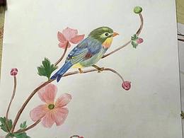 联系2张花卉