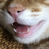 叶云熙的头像