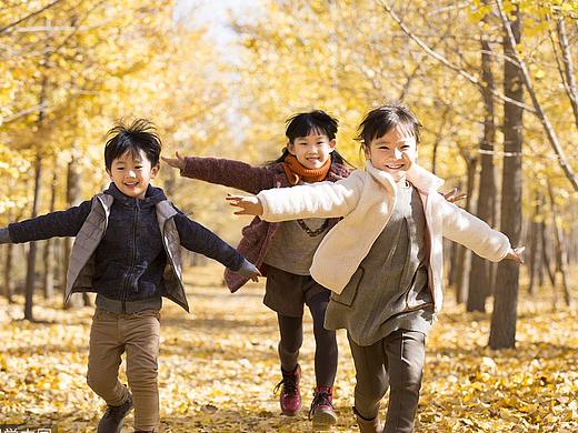 江苏青柠网秋游活动