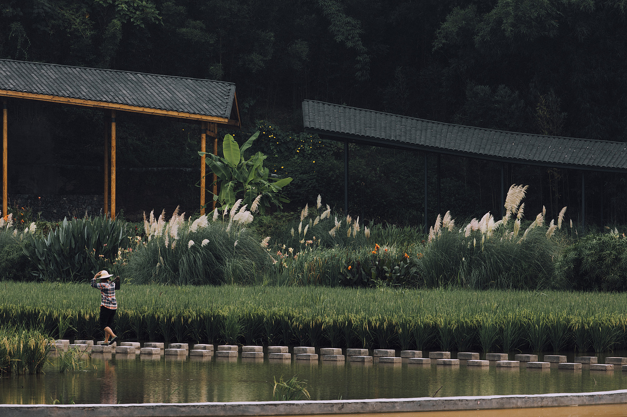 竹枝书院,四川 / 小隐建筑