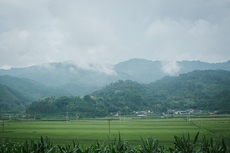旅行
17年至国之北境，国之西境。中俄中缅交界，钱塘琴岛鹅城甬城皖地等等，路遇各殊，眼见不凡。<br>抵达大兴安岭是最想纪念的一个坐标，书中世界，幻化眼见，这般追逐是一种精神。<br>18年，势将走得更远，阅尽江山，揽承湖海。