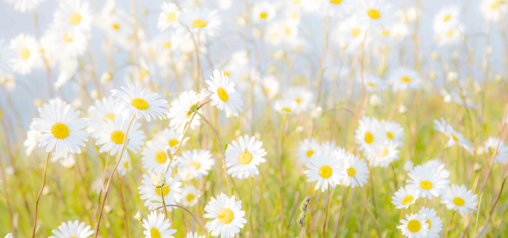 是三三不是33的個(gè)人主頁（封面預(yù)覽） - 主頁封面設(shè)置 - 站酷設(shè)計(jì)師是三三不是33原創(chuàng)素材 - 站酷ZCOOL