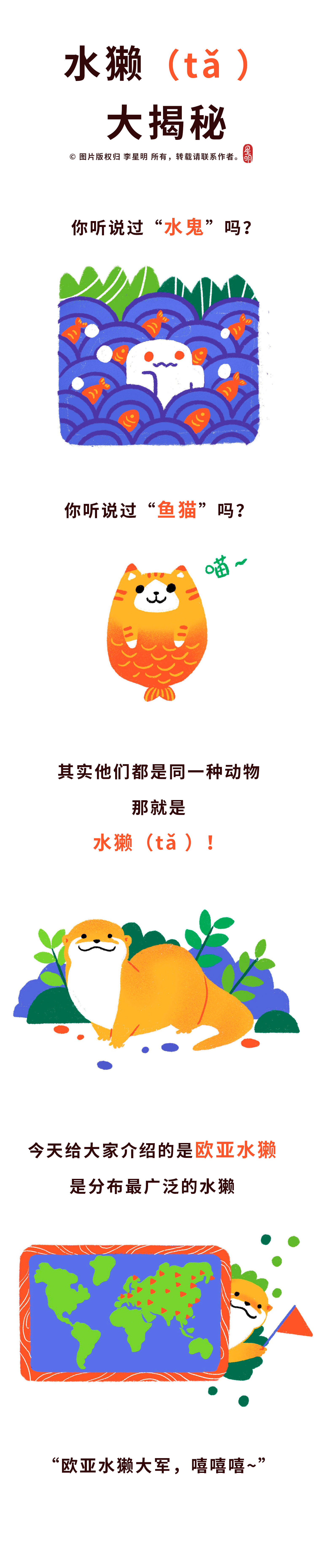 轻松科普“嘤嘤怪”水獭