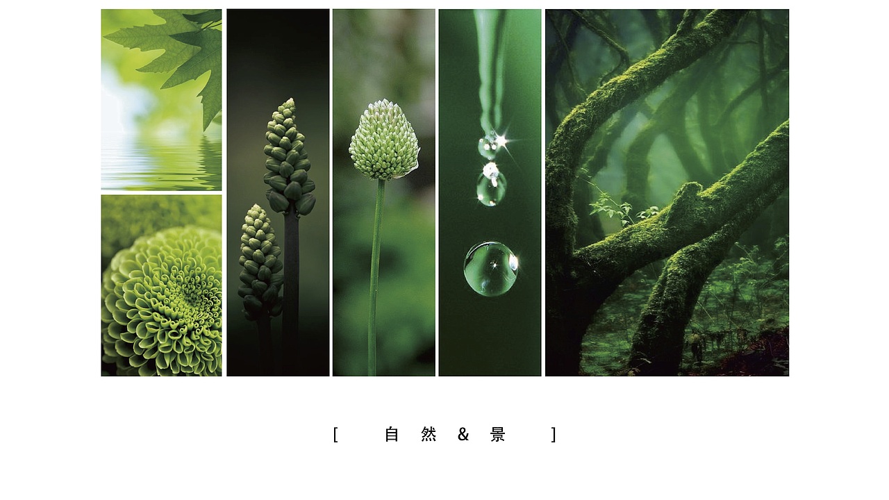 自然&景 | 一片绿色的导视设计之慈铭体检导视风格设计（图ZMTU5NDYwODQ0） - 商业空间设计 - 站酷设计师DESIGN_TANG原创素材 - 站酷ZCOOL